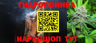 крисы Рыбинск