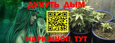 крисы Рыбинск