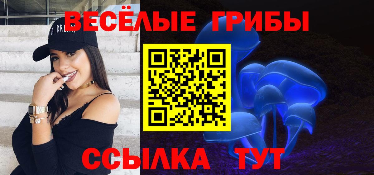 Печора  как найти   Вход с VPN  Галлюциногенные грибы Psilocybine cubensis 